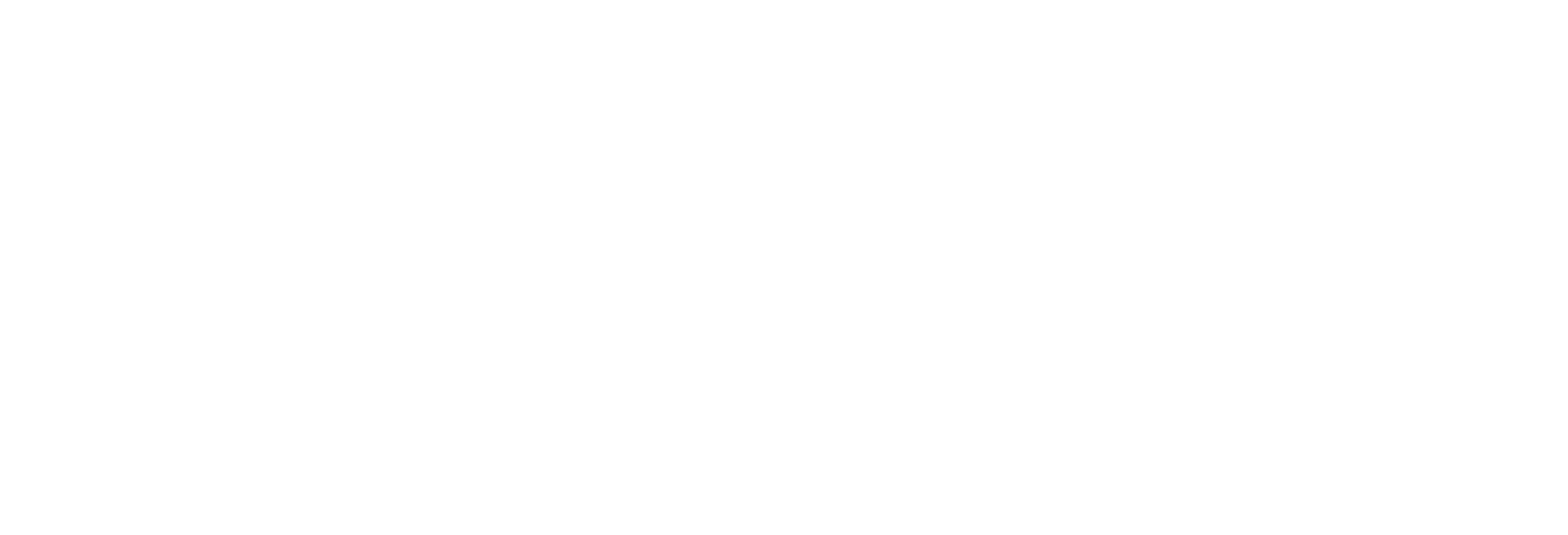 Jacana Literary Foundation_Logo_White